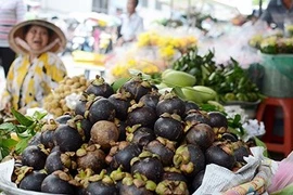 La Thaïlande, premier fournisseur de fruits et légumes du Vietnam