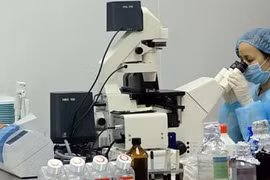 Le TPP, un enjeu stratégique pour l’industrie pharmaceutique du Vietnam 