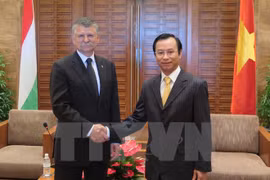 La délégation de l'Assemblée nationale hongroise en visite à Da Nang