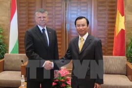 La délégation de l'Assemblée nationale hongroise en visite à Da Nang