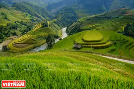 Les rizières en terrasses, merveilles de la région Nord-Ouest