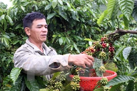 Baisse des exportations de produits agricoles, sylvicoles et aquatiques
