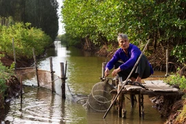 L'Allemagne aide le Vietnam dans la protection des forêts