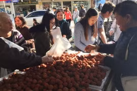 Vietnam - Australie: De belles perspectives pour le commerce bilatéral dans l’agriculture