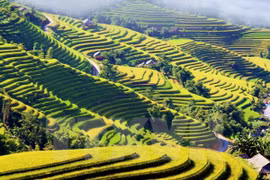 Colloque sur l’Année nationale du tourisme 2017 au Nord-Ouest - Lao Cai