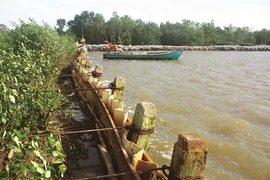 Les femmes et le changement climatique au Vietnam