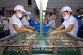 Vietnam et Italie resserrent leur coopération douanière