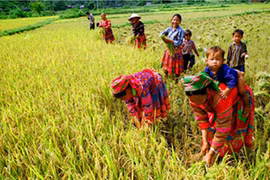 Vers une réduction multidimensionnelle de la pauvreté