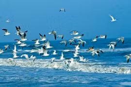 Sécurité maritime : une assistance américaine de 40,1 millions de dollars au Vietnam 