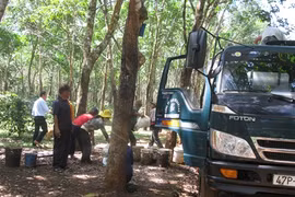 Édification de la Nouvelle ruralité chez les Êdê de Dak Lak 