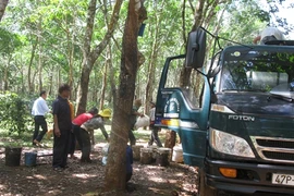 Édification de la Nouvelle ruralité chez les Êdê de Dak Lak 