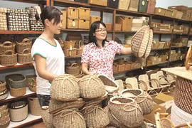 Nécessité d’une stratégie à long terme pour le développement des produits sylvicoles