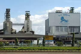 Vietnam, une terre fertile pour les investisseurs thaïlandais