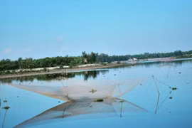 Le Vietnam prend de nombreuses mesures en réponse au changement climatique 