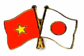 Perspectives de l’investissement du Japon dans l’agriculture à Ha Nam