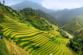 Le Vietnam, l’une des 20 premières destinations à visiter dans sa vie