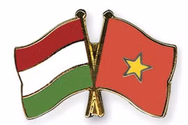 L’Association d’amitié Vietnam-Hongrie à l’honneur