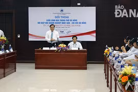 Da Nang soutient les entreprises japonaises
