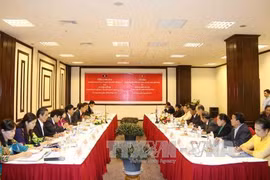 Vietnam-Laos : coopération impulsée dans les affaires ethniques