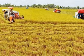 Agriculture : de nombreux privilèges pour encourager les investisseurs étrangers