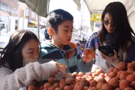 Hanoi rencontre des Viet Kieu à l'occasion du Nouvel An