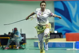 Wushu: le Vietnam se classe 3e aux Championnats d'Asie junior