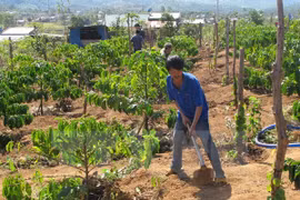 Tay Nguyen : 53 localités satisfont aux critères de la Nouvelle ruralité