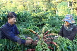 Agriculture lato sensu : excédent commercial de 7 milliards de dollars