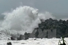 532 stations d'alerte aux tsunamis seront installées dans le Centre du Vietnam 