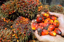 Le Premier ministre malaisien en visite de travail en Indonésie