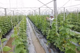 Agriculture: le Vietnam recense plus de 700 projets d’IDE 