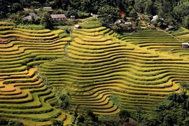 Ouverture de la Semaine culturelle et touristique des rizières en terrasses de Hoàng Su Phi 