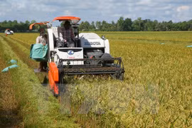 Application des TI japonaises dans la production agricole à Ha Nam 