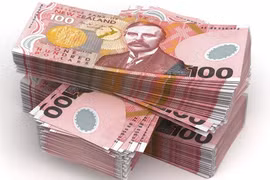 La Nouvelle-Zélande investira plus de 130 millions de dollars en ASEAN