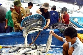 1,9 million de tonnes de produits halieutiques pêchés en huit mois