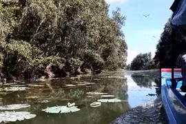 La zone humide de Lang Sen, 7e site Ramsar du Vietnam