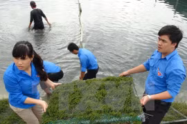 Da Nang-Saravane renforcent la coopération entre les jeunes