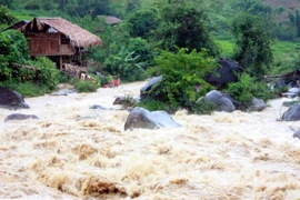 Crues à Nghe An : 4 morts et plus de 191 milliards de dôngs de pertes 