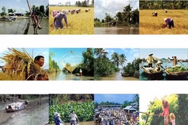 TPP : les entreprises du Delta du Mékong sont devant de grands défis