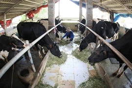 Moins d'un milliard de dollars d’importation de lait en 2015