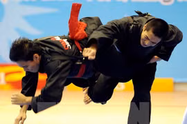 Sports : Vietnam et Laos resserrent leur coopération