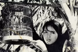 Ouverture d'une Semaine du film vietnamien au Paraguay 