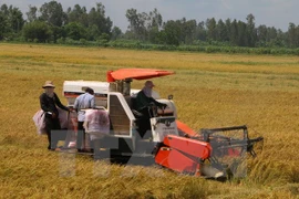 La RPDC recherche des opportunités d’investissement à Hau Giang