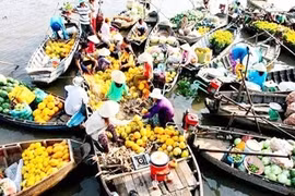 Les valeurs culturelles et touristiques du delta du Mékong à l’honneur