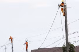 Vinh Long : promouvoir l'électrification en zone rurale