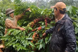 Pauvreté : le Vietnam opère un changement de politique radical