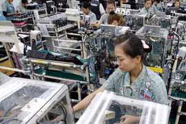 Les entreprises mexicaines souhaitent coopérer avec le Vietnam