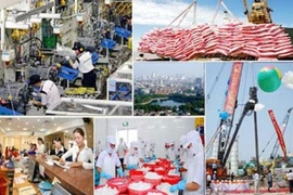 Fitch évalue l'impact du TPP sur l'économie vietnamienne