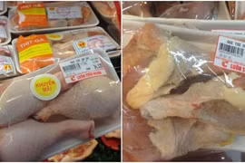 Le poulet américain représente 49% des importations de viande du Vietnam 