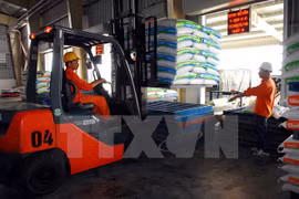 Vinh Phuc attire de nombreux projets d'IDE